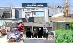 در سه ماه گذشته بیش از ۲۳۰ کارخانه تولید مواد مخدر در غور از بین برده شده است