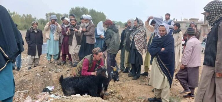 برای ۲۵ تن در غور بز شیری و وسایل مالداری توزیع شد