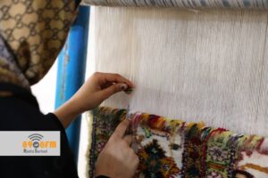 بررسی نقش زنان در اقتصاد خانواده