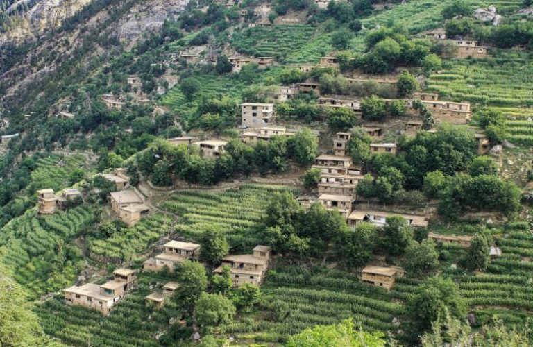 درگیری در نورستان؛ ۲۱ فرد مسلح کشته و ۳۲ تن بازداشت شدند